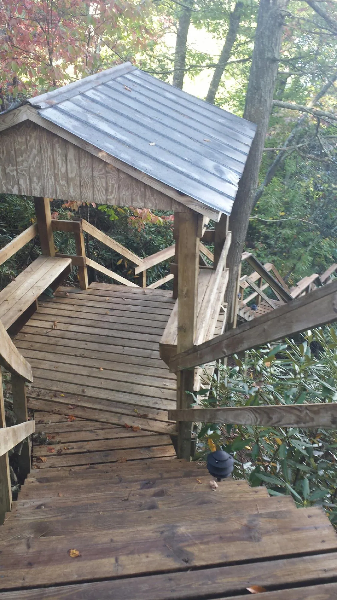 Metal roofed shelter over wooden steps on a wooded walkway — Skylight Repair & Installation work by our crew in Tallahassee